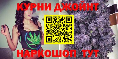 сатива Коммунар
