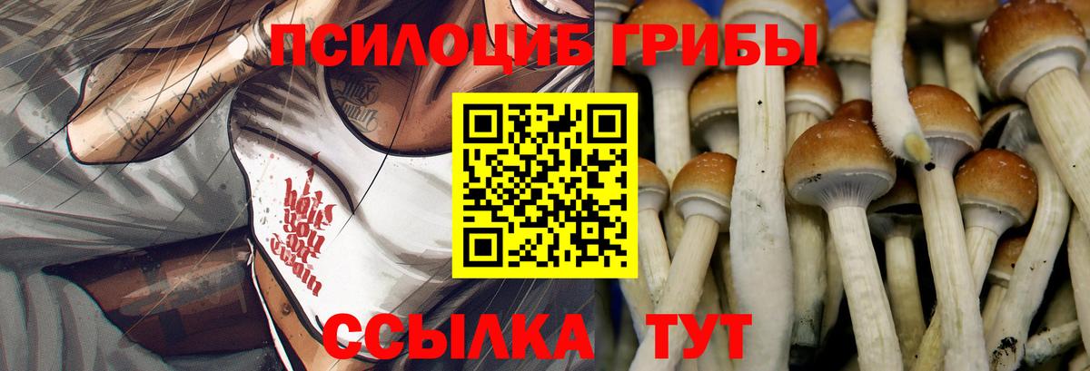 Псилоцибиновые грибы мицелий Семёнов